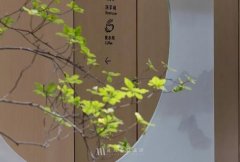 办公室个性装修设计，巧用这些东西更有创意